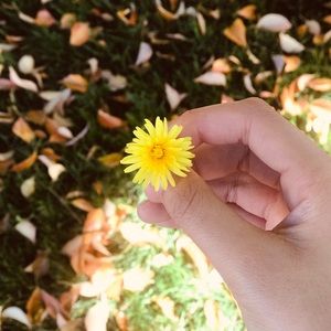 Meet your Posher, C h a r l e n e